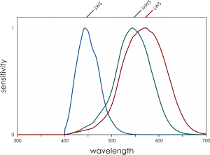 Sensitivitity Graph Human