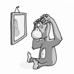 Chimp Looking in Mirror