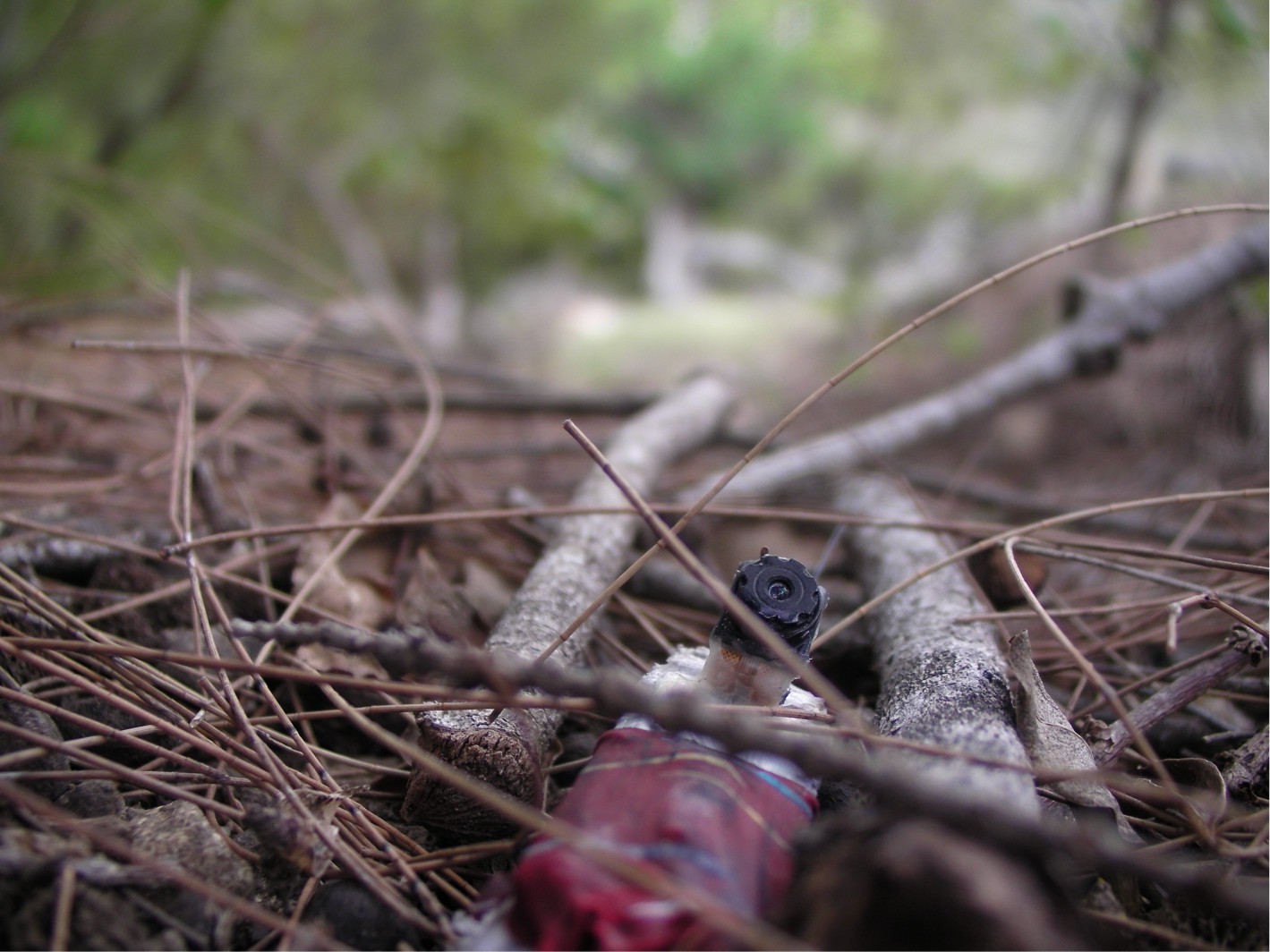 The crow-cams have homing beacons that let us find them on the forest floor when they fall off.